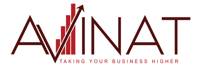 Avinat — taking your business higher